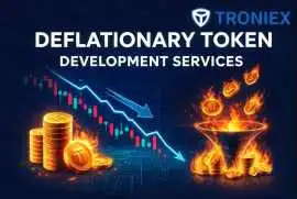 Token Burn-Based Deflationary Token Development , Madurai