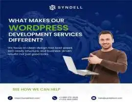 High Performance WordPress Web Development , California City