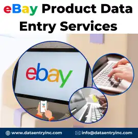 Best eBay Product Data Entry Services in India, Ahmedabad