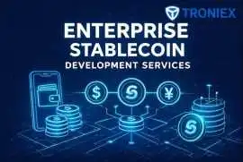 Professional Enterprise Stablecoin Development, Madurai