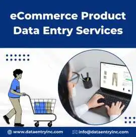Best Ecommerce Product Data Entry Services in Indi, Ahmedabad