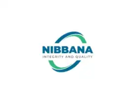 Cascade Paper Towels for Durable Daily Cleanups, Delta