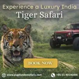 Book a Luxury India Tiger Safari 