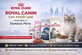 Royal Canin Cat Food UAE | Famous Pets, $ 0