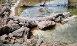 Crocodile Farm Nairobi – Mamba Village Adventure, Nairobi