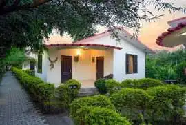 Resorts In Ramnagar Near Corbett National Park