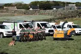 Need Reliable Tree Surgeons Belfast for Safe Care?, Belfast