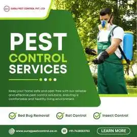 Pest Control Services in Chandni Chowk, Delhi