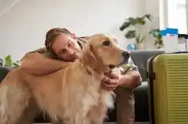 Dog Hostel, Pune