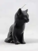 Black cat candle online, $ 0