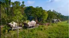 Jungle Resort in Karnataka, Bengaluru
