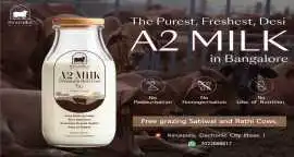 Healthy cow milk delivery in Bangalore , Rp 120