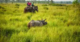 Enjoy thrilling dooars jungle safari Murti comfort, Siliguri