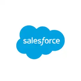 Salesforce Consulting Services, Iselin