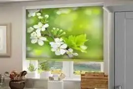 How to Choose the Best Zebra Blinds Manufacturers 