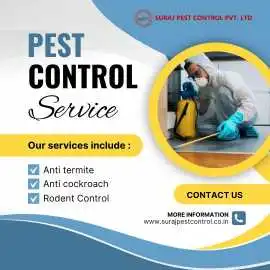 Trusted Pest Control Services in Rajouri Garden, New Delhi
