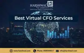 Professional Best Virtual CFO Services to Drive , San Diego