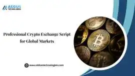 Professional Crypto Exchange Script , New York