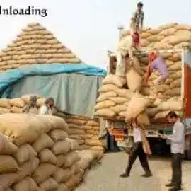 Top Basmati Rice Manufacturers in India – Premium , Sonipat