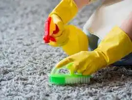 Same Day Carpet & Window Cleaning in London, London