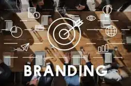  SEO Reseller Companies for Affordable White Label, Chicago