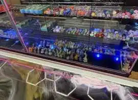 Future Flavors Market | Smoke Shop, San Francisco