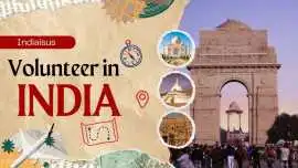 Volunteer for ngo, Bengaluru