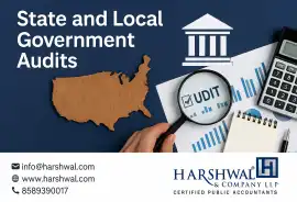 State and Local Government Auditing, San Diego