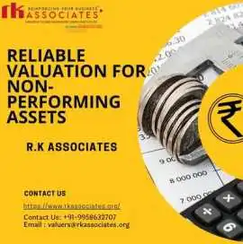 Expert Valuation for Non-Performing Assets, Noida