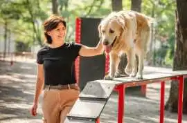 Dog Training, Surat