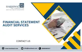Detailed Financial Statement Audit Services, San Diego