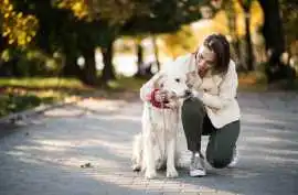 Dog Walkers, Lucknow