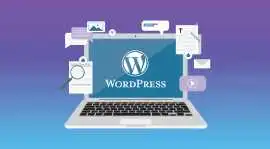 Expert WordPress Development Services India That D, Mohali