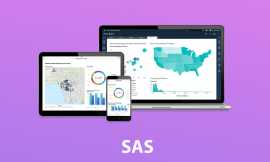 SAS Online Training - Live Instructor-Led Classes, New York