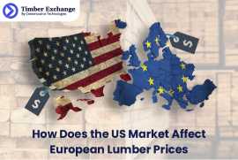 How Does the US Market Affect European Lumber, Taby