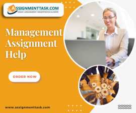 Looking for Management Assignment Help in UK? , London