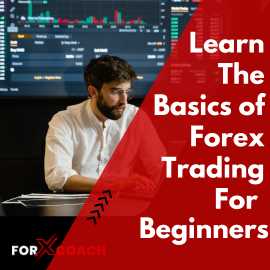 Learn The Basics of Forex Trading For Beginners, Mandi