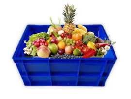 SINGHAL Multipurpose Storage Crates , ¥ 999