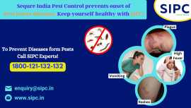 Pest Control Services in Bangalore, Bengaluru