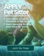 Dog Sitter in Bangalore for Home, Bengaluru