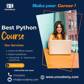 python in Greater Noida, Noida