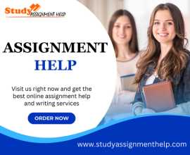 No1 Online Assignment Help Website for UK Students, London