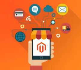Looking Best Company For Magento Ecommerce Website, New York