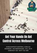 Get Your Hands On Ant Control Across Melbourne, Melbourne