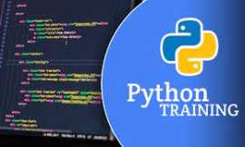 Python Pathway: Forge Your Future with Expert , Nashik