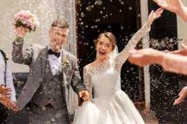 Watch Your Big Day Live: WLST Delivers Seamless St, Toronto