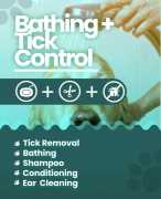 Best Dog Grooming at Home in Bangalore, Bengaluru