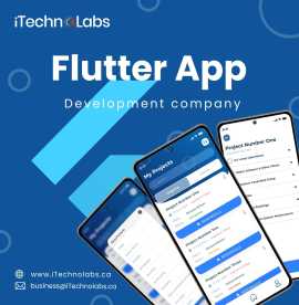 Flutter App Development Company in California, California City