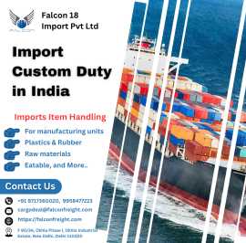 What is Import Custom Duty in India?, Delhi