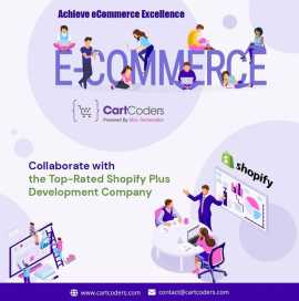 Tailored Shopify Plus Development Services by Cart, New Hyde Park